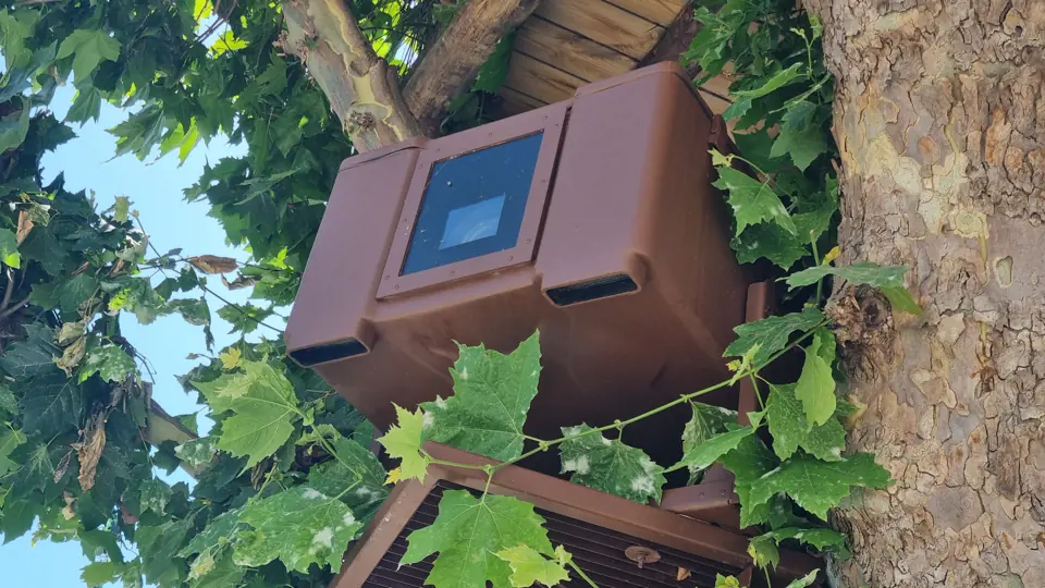 Coluna de som exterior integrada numa árvore do jardim